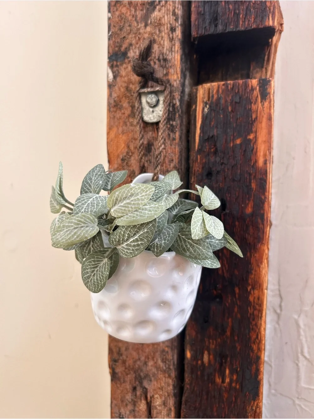 Japandi Ceramic Hanging Planter Vase Pot Holder with Rope #0530261